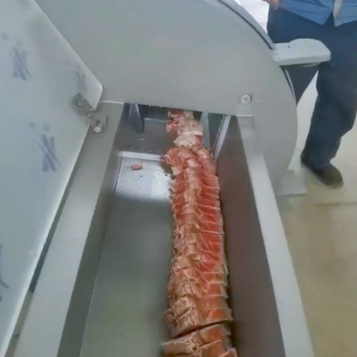 Commercial Meat Slicer Bone Cutter ZSR005 03